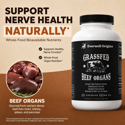 Everwell Beef Organs Capsules To Support Nerve Restoration And Daily Energy*